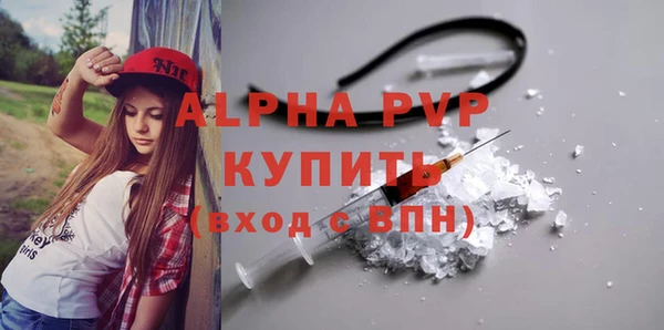 стаф Алексин