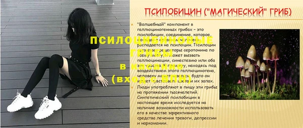 стаф Алексин