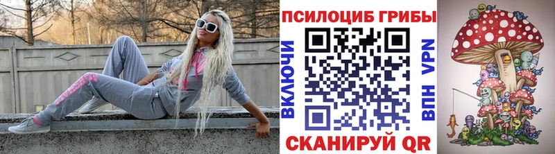 купить закладку  Мензелинск  Псилоцибиновые грибы прущие грибы 